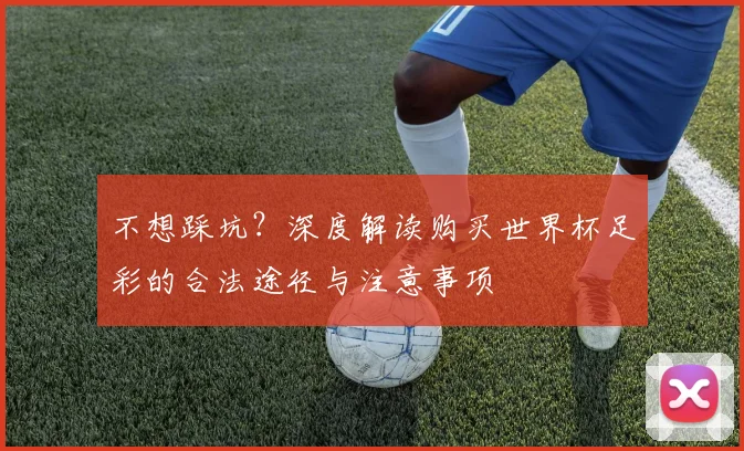 不想踩坑？深度解读购买世界杯足彩的合法途径与注意事项