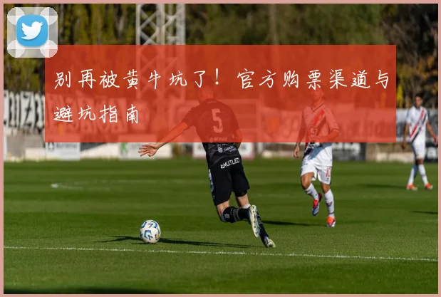 别再被黄牛坑了！官方购票渠道与避坑指南